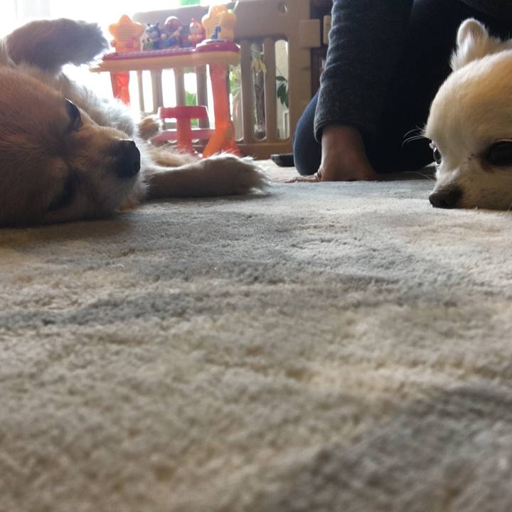 4335b6bf 8a98 4f2d 81e0 d8d606f917fa