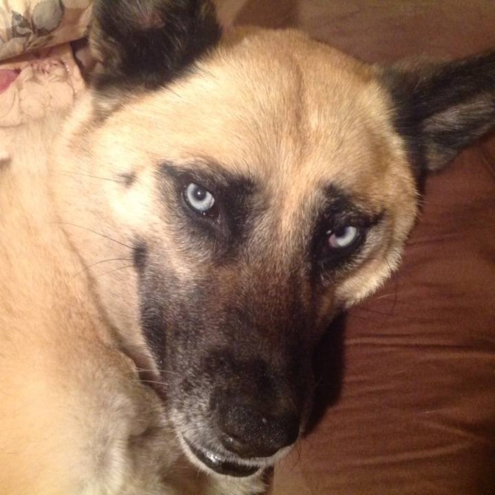 43362cd6 136e 4f74 825f 074544c15651