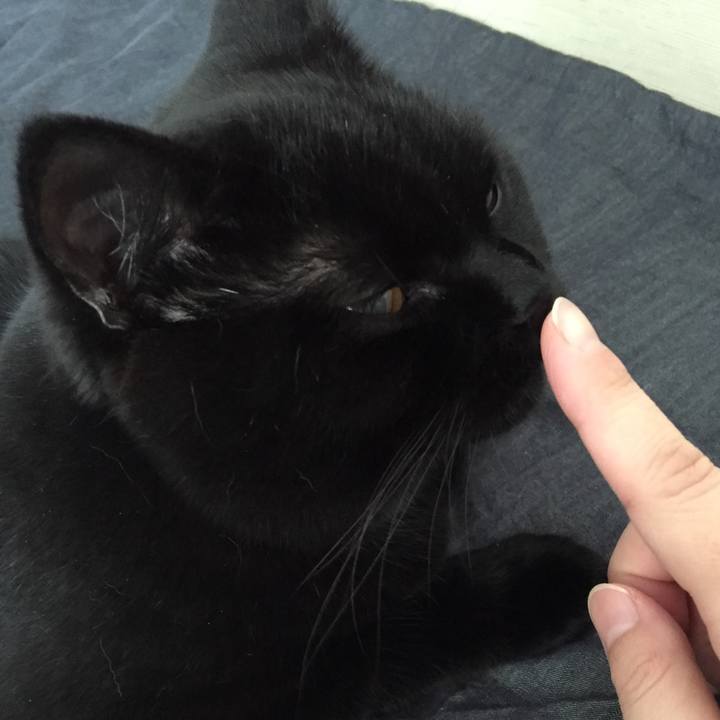 433680e9 5770 4ae5 8f7d 8da605fb7228