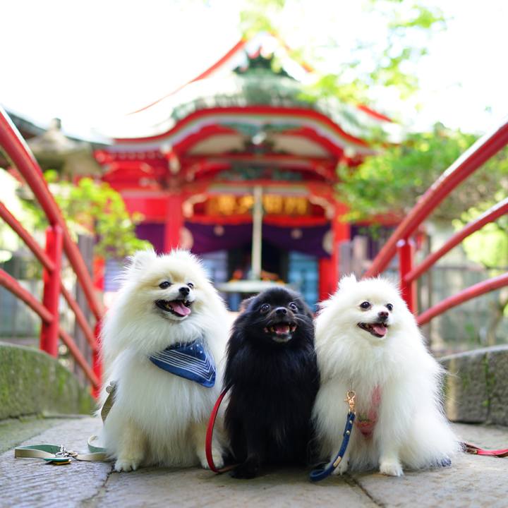 4336ce5a f17f 433d 810c cbf3a8bfb429