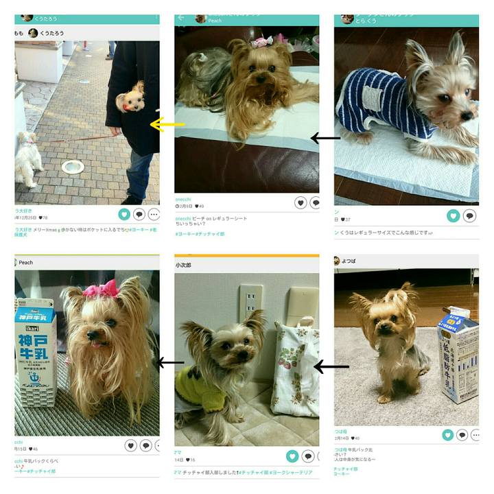 4336d57a 5db7 4ddb 984a d45d54c2f2c3