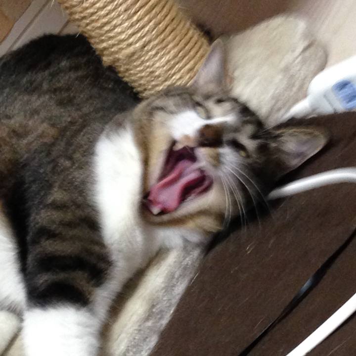 43373b0f 23c8 4a24 8787 9bcf4997237d