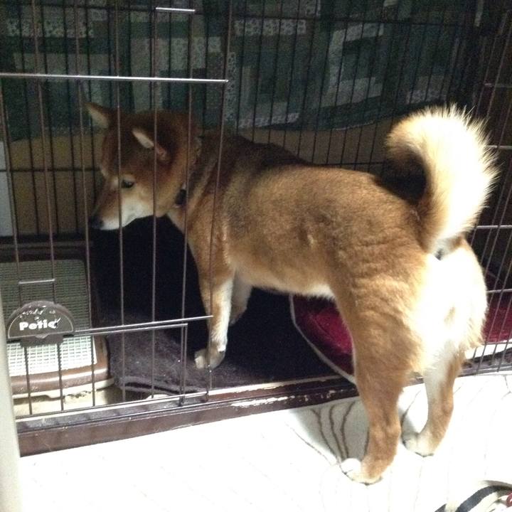 4337fb9b f8a1 4302 9b57 fb5bdfabac8a