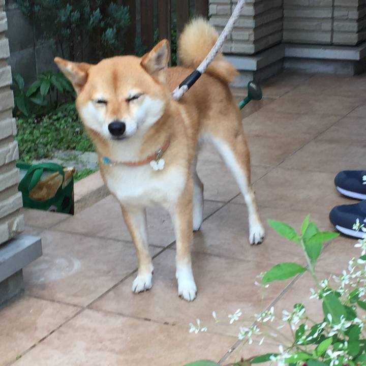 43390675 40e2 4b32 90a5 c0a1860ed23b