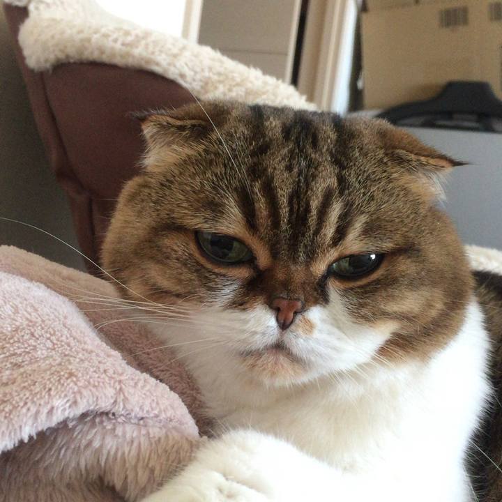 433969a5 b735 49e9 b7d8 c6b57abb5a4d