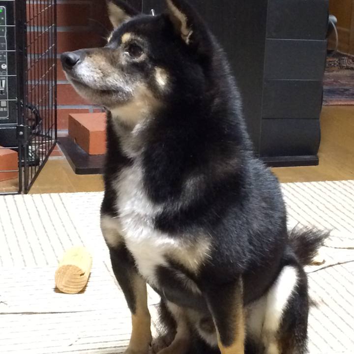 4339e3ad cf8c 4979 9d6b 92045ea9cc5e