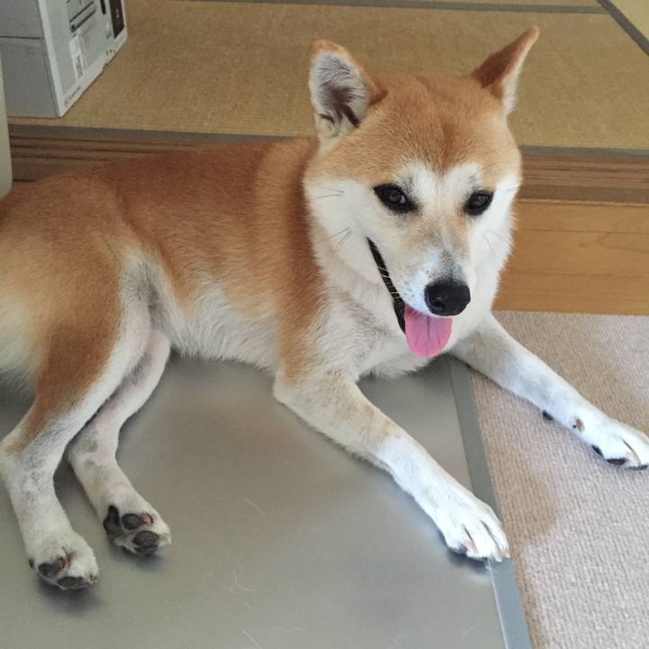 4339e78e 030e 42be 8e48 8cb0e3f6932e