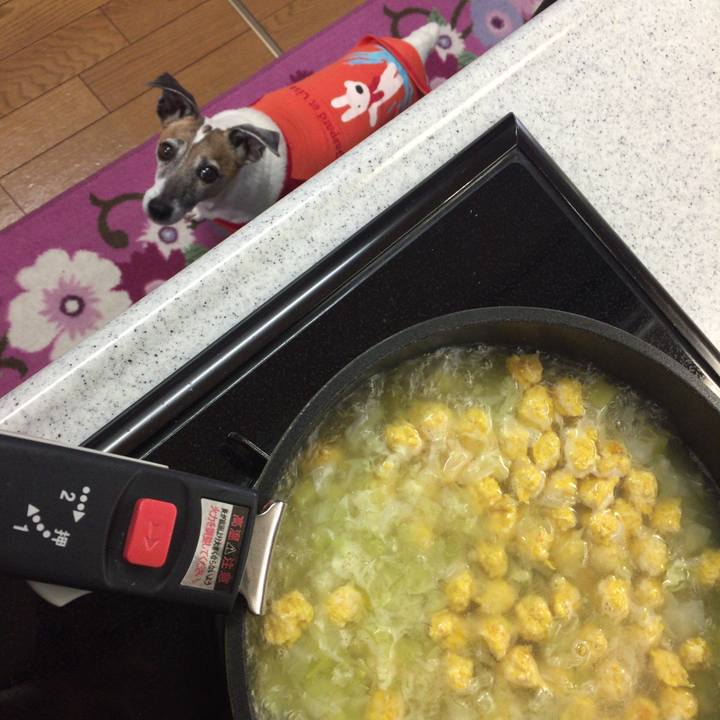 433ac4f3 77f7 4bbf b408 06e00c84e128