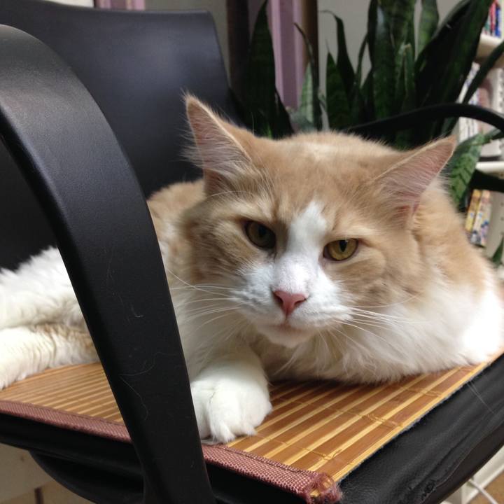 433af559 e8d0 4009 b598 8464dbaa11e4