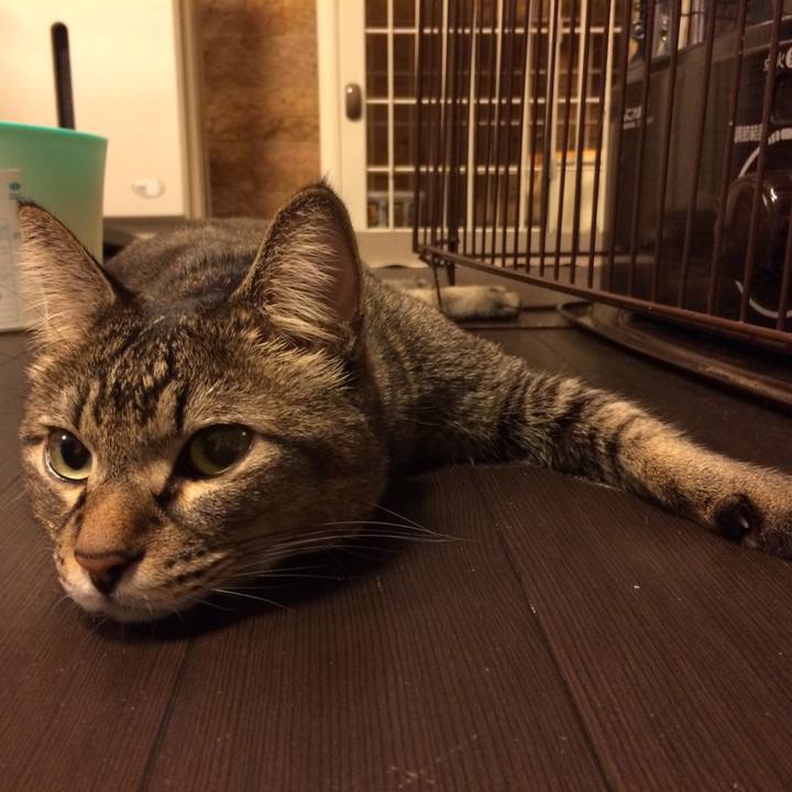 433b09ea e634 4a97 be8d 794e678c25b9