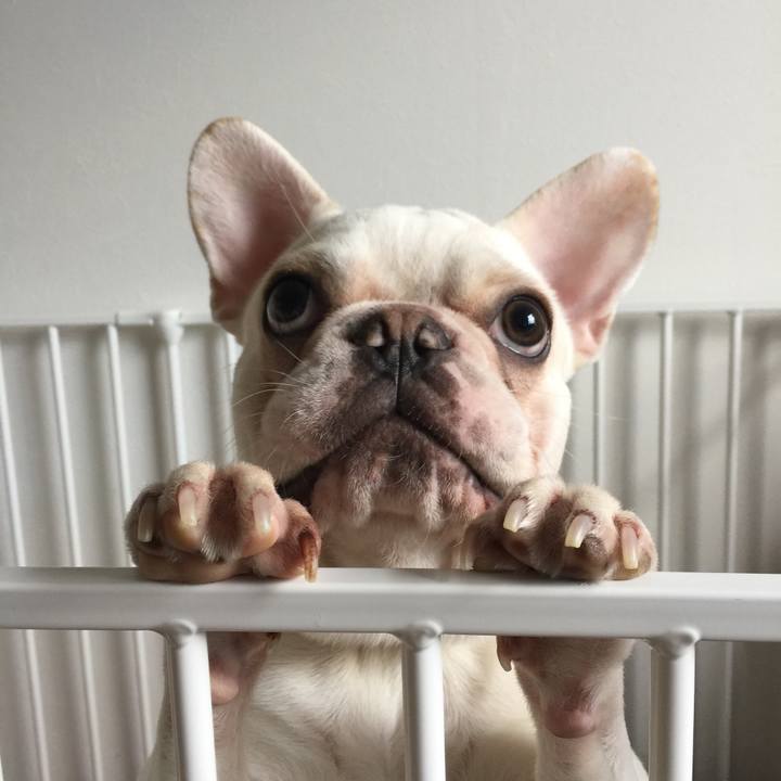 433b44bc 03a0 4291 8269 6436d2c8c17d