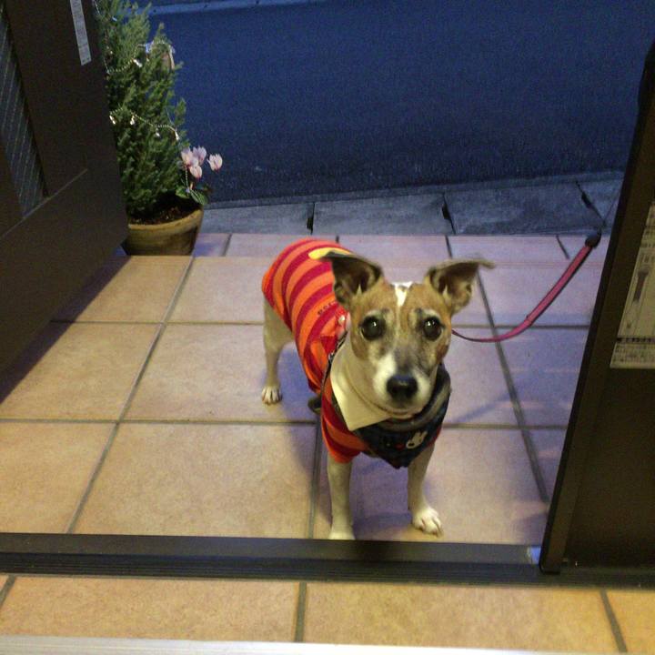 433cbfaf c216 4322 8c15 aea0750d51e6