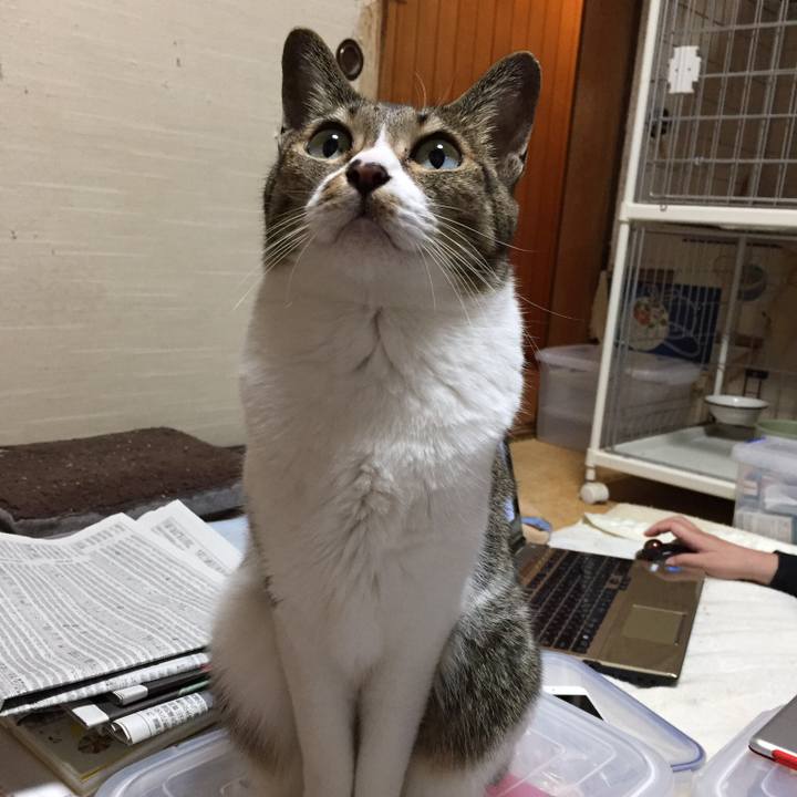 433cca1b 4e26 4e6c acbe 6addc4aba842