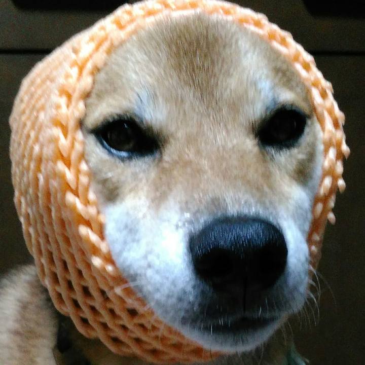 433d48fd b344 40e5 9d4c 9f067645f30c