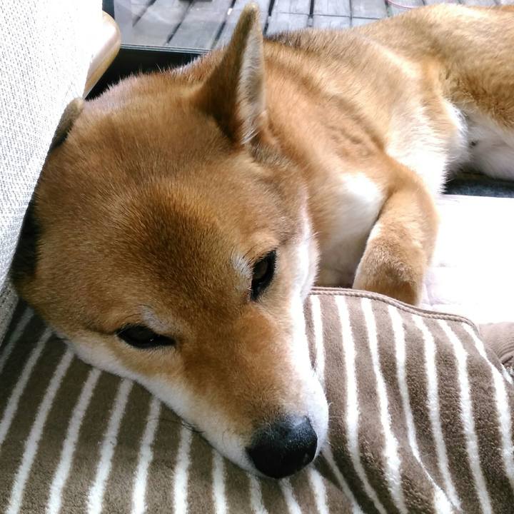 433eae02 b382 42b5 95a0 a26e2a68326c