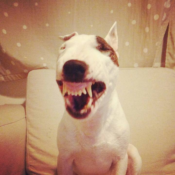 433f0d39 24b5 460b ae4d 8f1572f28aa4