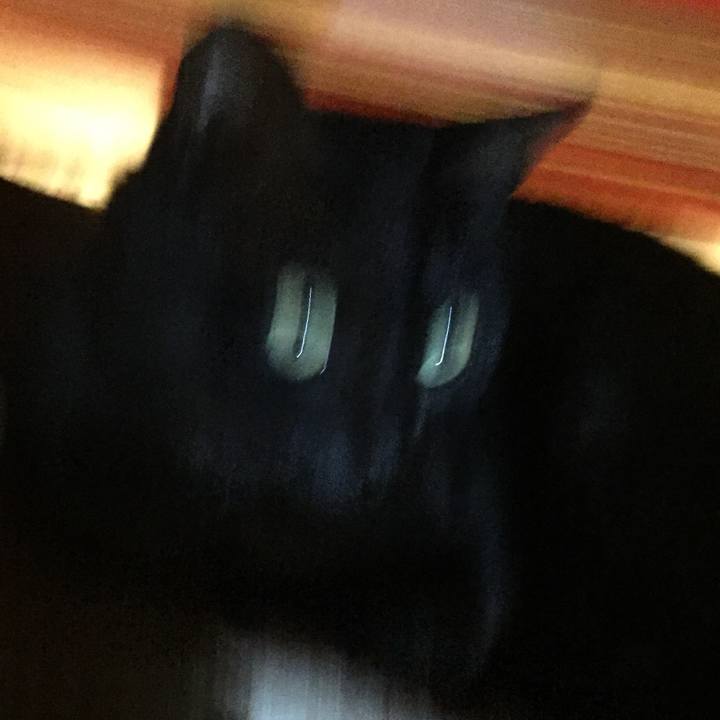 433f4c70 c7f1 437c 8bcf b4421b2b3ae4