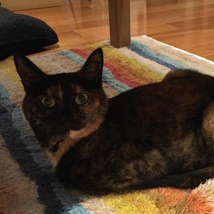 433f6f58 f9a0 49b2 a7d1 3881bf52eb1c