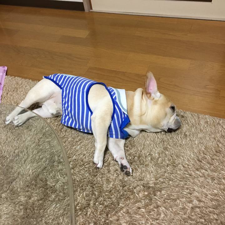 433f9f7f 9688 4560 9fa5 c630b50907df