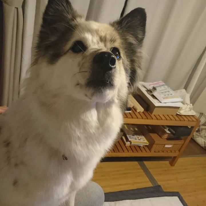 43411a51 b9fd 49c9 ba64 bb33427a8f77