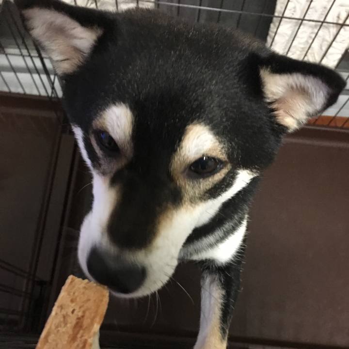 43417967 747c 4092 8144 68e8220833f8