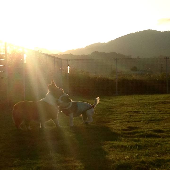 434228a6 cf18 4be1 a3ce ed6a672683bb