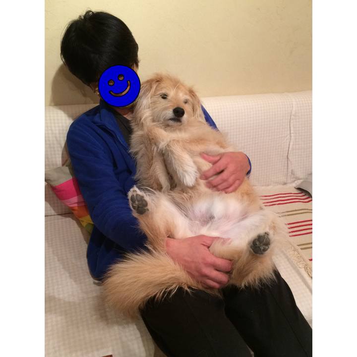 4342d487 7548 459f bd56 2f5f5fa977b0