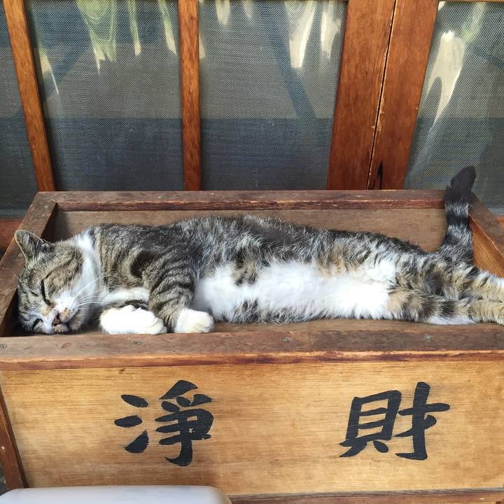 4343714c 5bec 4763 9cc8 e2357f99e824