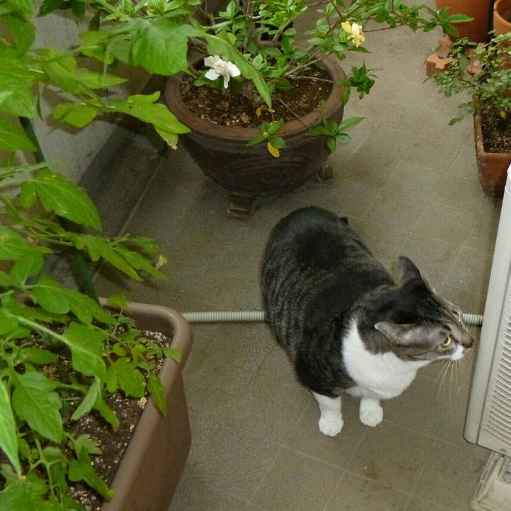 4343731f 0a08 4364 ad0c 130a443c5dae