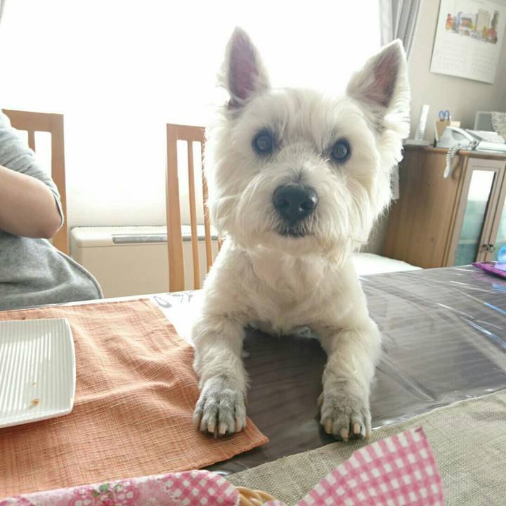 43449f33 f0dc 46fa 919c 3da62d4385c4