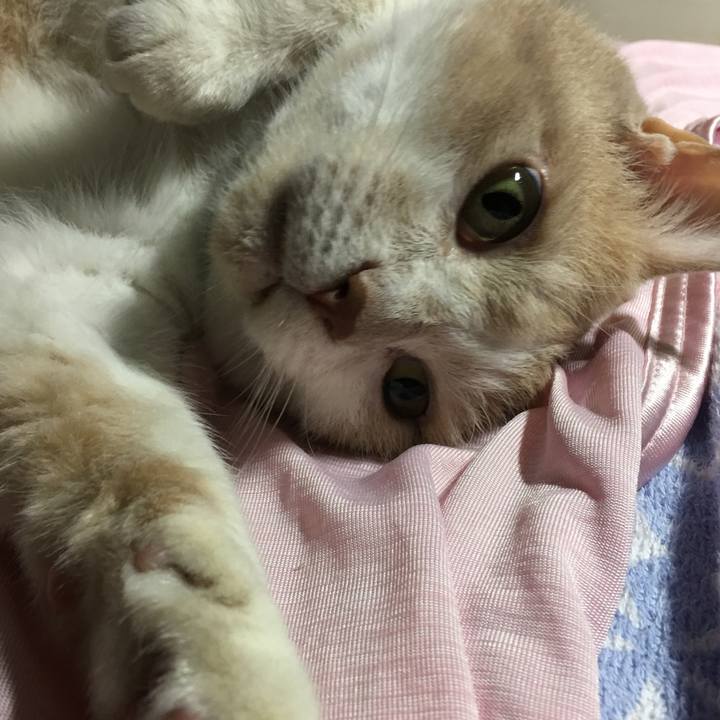 4344a7ed 8eaa 4c1e 9e4c 811be21a2ea7