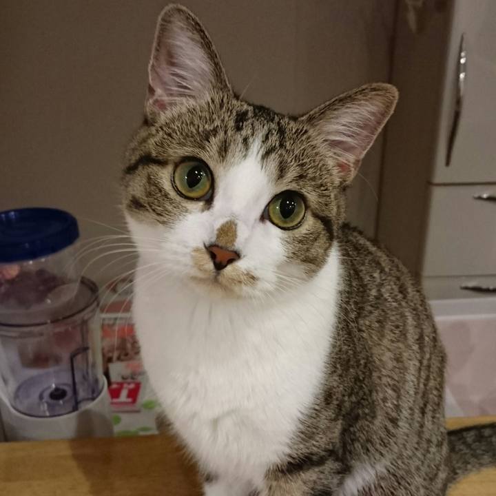 4344c042 79ac 4b8f baf6 2ae41a9876a8