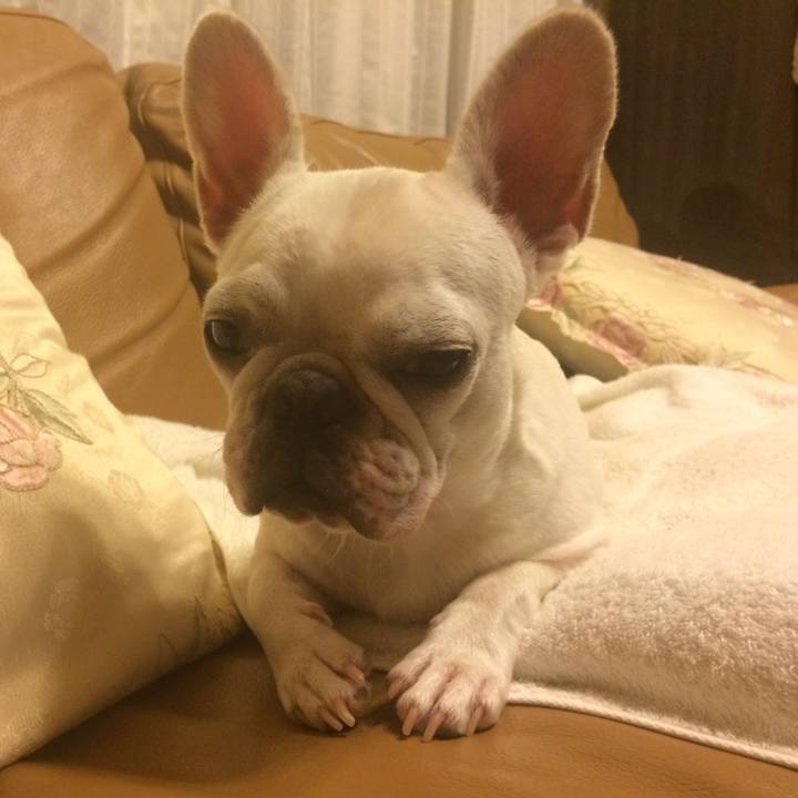 4345d51b 73f4 4731 bf62 d66dbf4add8b