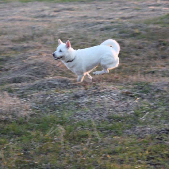 4345df31 4a26 4714 98a2 8c58e1af0323