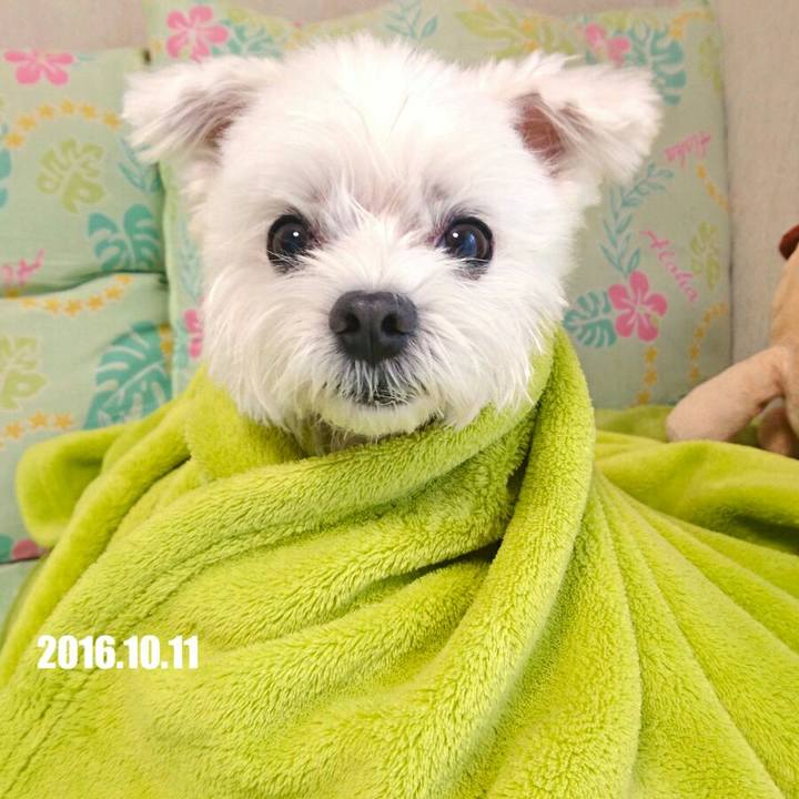 4345e987 9466 413e be6c b9a17a3aad2c