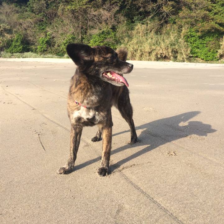 434640e0 9024 4018 ae0a 6045ec2a33d4