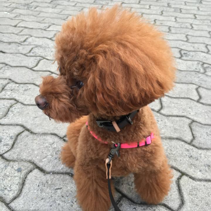 434674ce 5b5e 4fcd 947f ec315948ac64