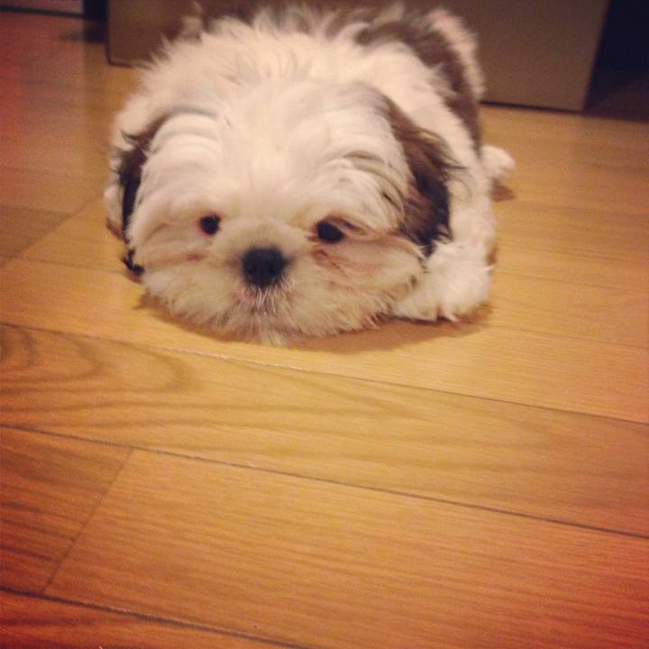 4346d0ad b86d 4609 9b7c 8e965c8ed6e7