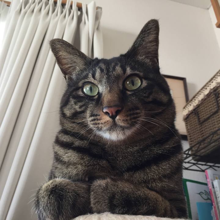 43470b3a b4d8 4ee0 9bbb 9f25036ca005