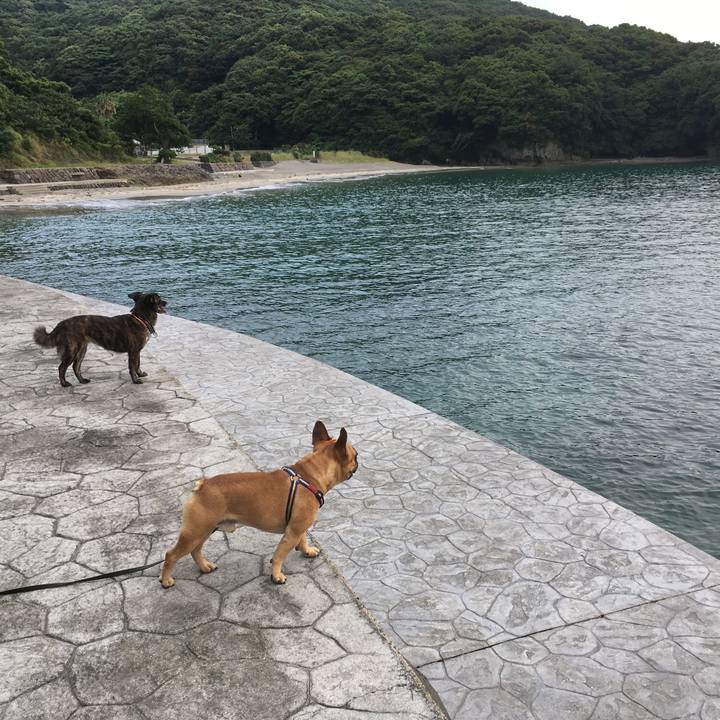 43472a05 72b1 4793 b236 535c5c596d29