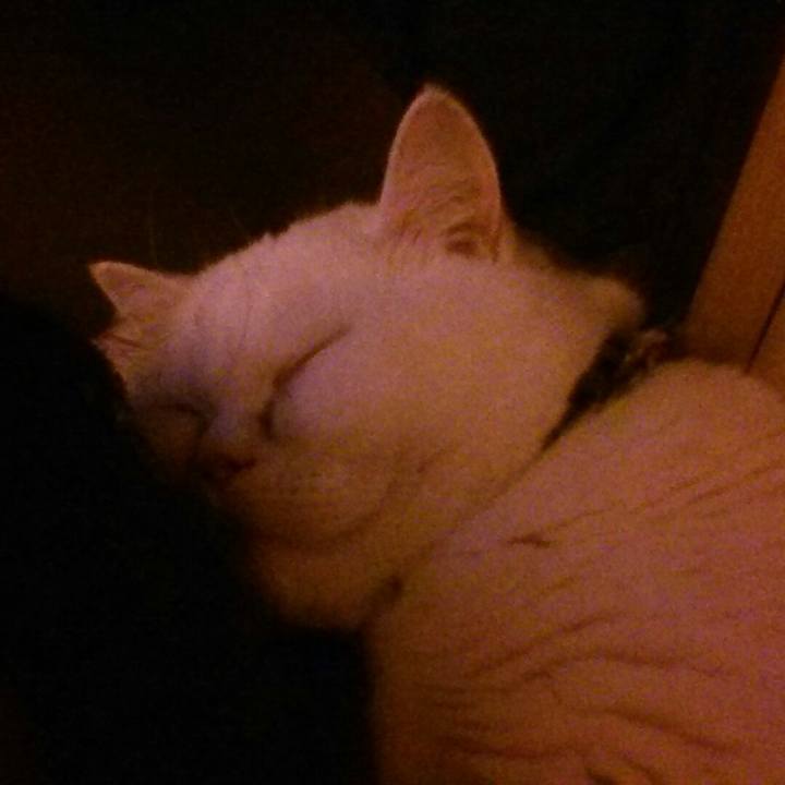 4347ea8b a5d3 4608 851f 154df1bc17c8