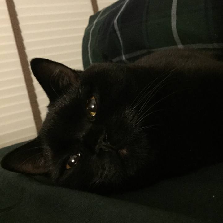 43483a91 53c4 4dd7 8e1b 7e95d512181e