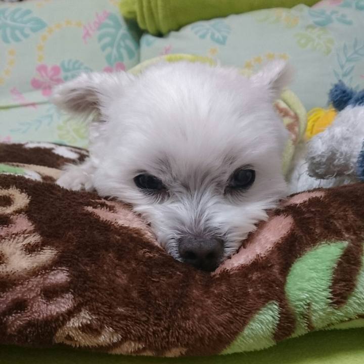 4348b41e 44c3 41e7 8b51 208a8fdaf9a5