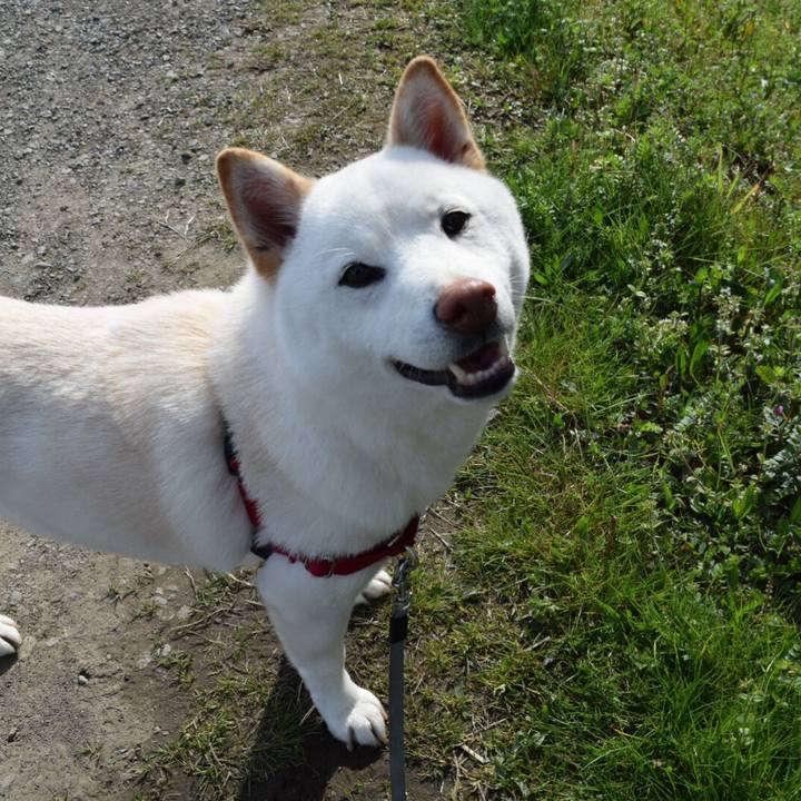 434902fb 327f 4d01 ad41 6a05fc3c578d