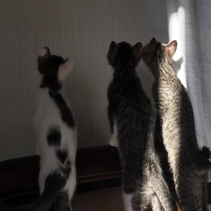 4349308f 4998 4264 b4ea 369fa706769d