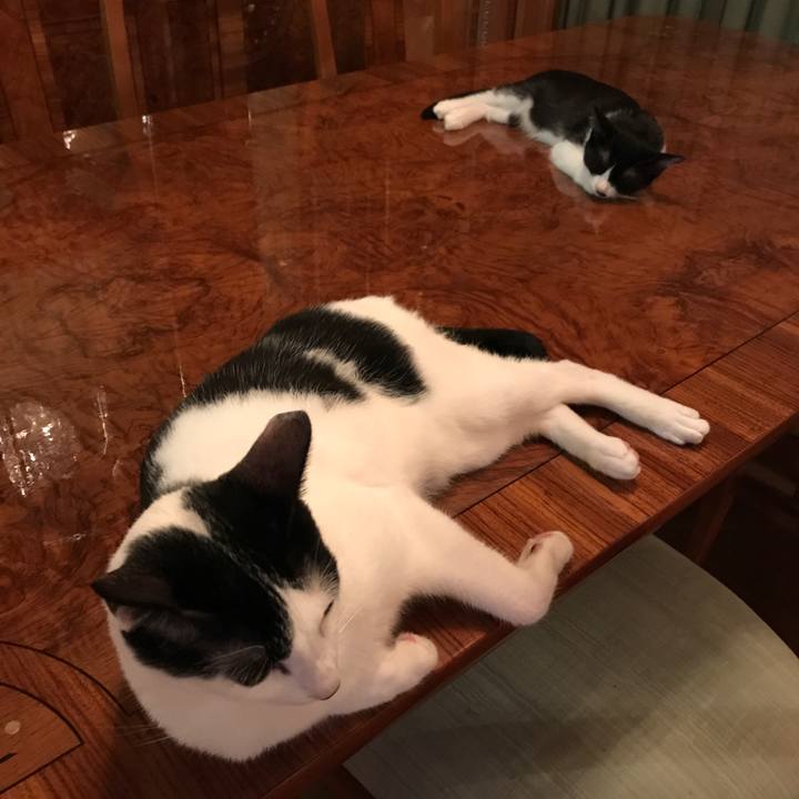 434a29b4 6448 45d0 9413 9826cd5394af