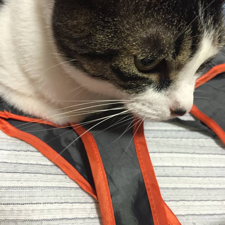 434a461e e566 4461 abb9 e22a7a5283ac