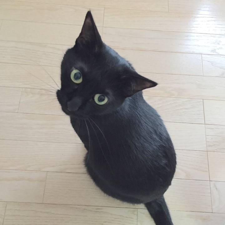 434aa04e ab29 447a a6c5 05af6a53c548