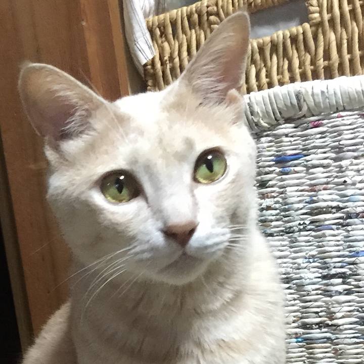 434aac1d 6c70 46c5 a7e1 b09d1f09464b