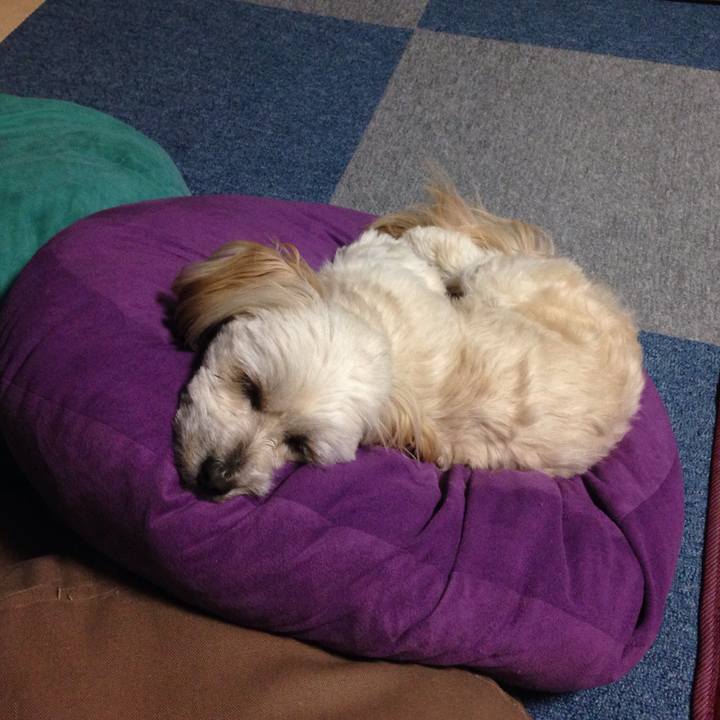 434b9058 42f5 47e2 bd2b 9248b31c69f4